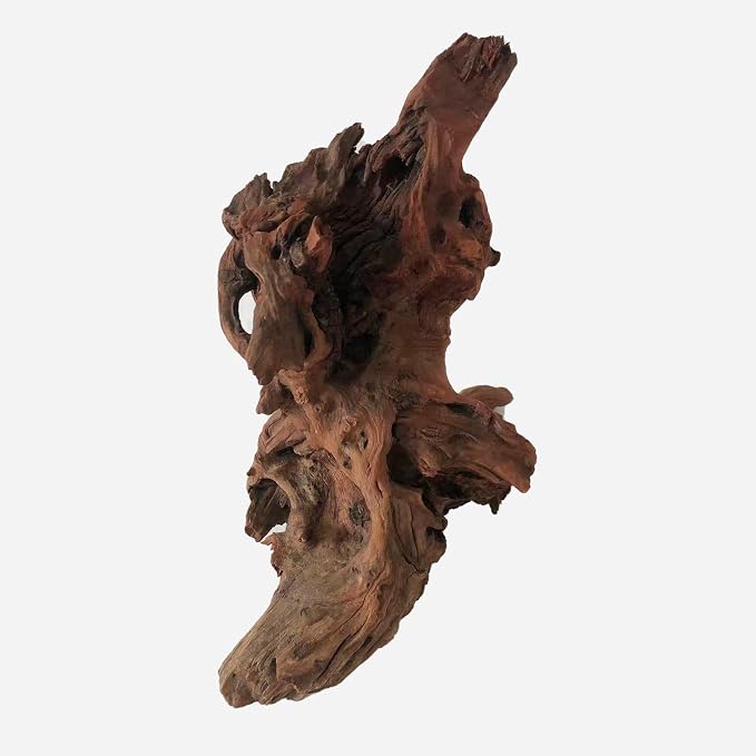 LYPHARD AQUARIUMS Natural Driftwood - Image 4
