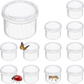 12 Pcs Bug Viewer Critter, Magnifier Bug Catcher cage, Plastic Insect by Voittozege