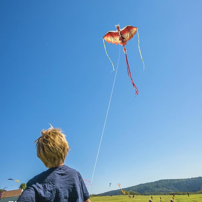 Dragon Kite for Kids & Adults - Image 4