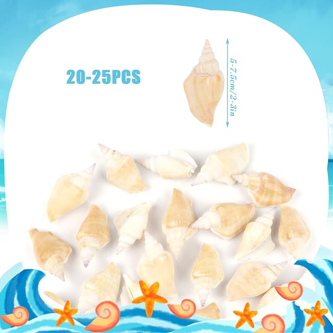25 PCS+ Small Conch Shells Natural Sea Shells, Fish Tank and Vase Filler - Image 2