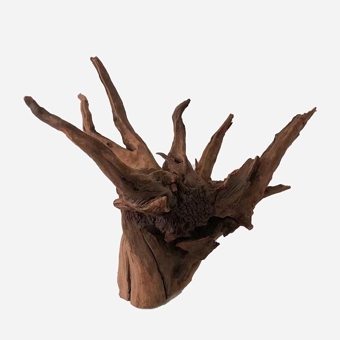 LYPHARD AQUARIUMS Natural Driftwood by LYPHARDAQUARIUMS