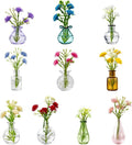 Mini Vase Magnets for Fridge, Real Flowers Pot Magnet, Funny Aesthetic Plant by DUMPILL