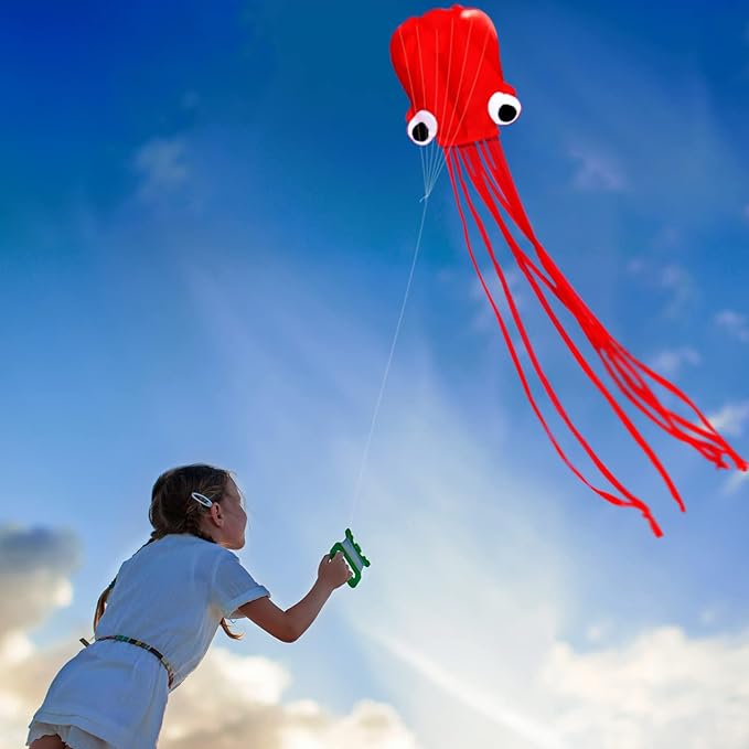 Hengda Kite Soft Octopus Kite Series, Beautiful Kite - Image 4