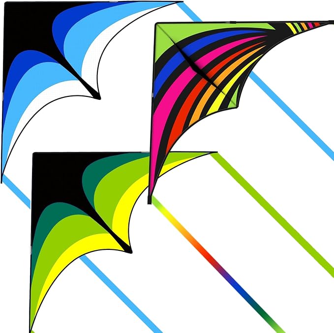 Large Single Line Beach Kite for Adults by Kaiciuss