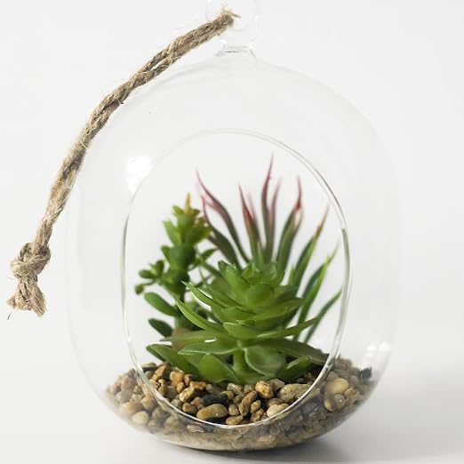 YISZM 10LB Succulent and Cactus Gravel Pebbles, 3/8 Inch Decorative Polished - Image 7
