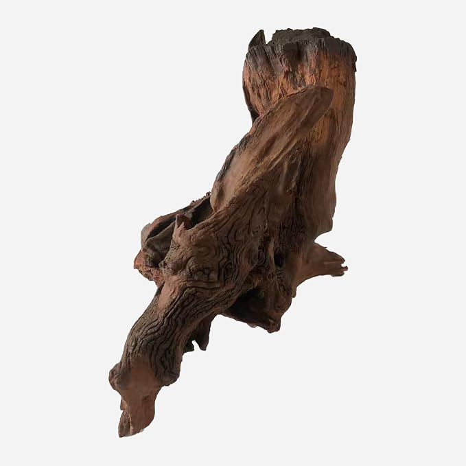 LYPHARD AQUARIUMS Natural Driftwood - Image 3
