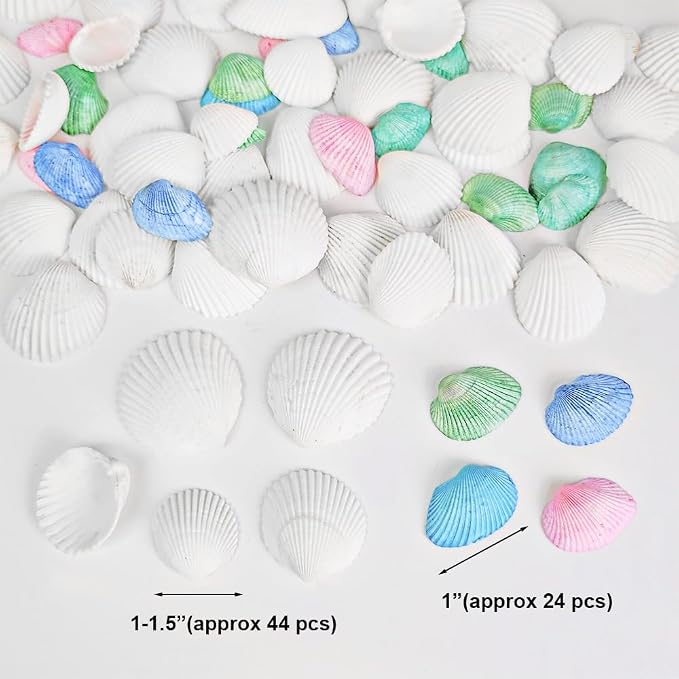 68 Pcs Small Natural Scallop Seashells 1-1.5 Inch Decorative Sea Shells | DIY - Image 2