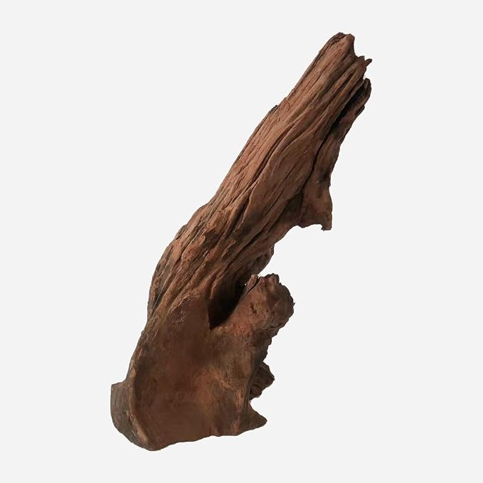 LYPHARD AQUARIUMS Natural Driftwood - Image 4