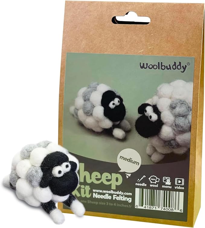 Woolbuddy Needle Felting Kit for Beginner Adults, Starter Set by Woolbuddy