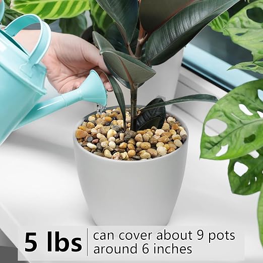 YISZM 5LB Succulent and Cactus Gravel Pebbles, 3/8 Inch Decorative Polished - Image 5