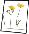 REDHUGO Glass Pressed Flower Frame Handmade, Floating Picture Frames by REDHUGO