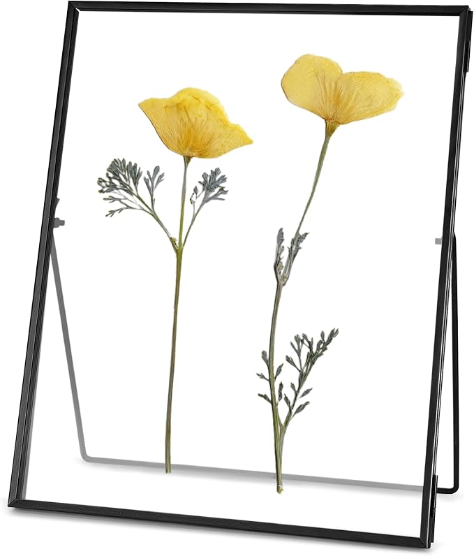 REDHUGO Glass Pressed Flower Frame Handmade, Floating Picture Frames by REDHUGO