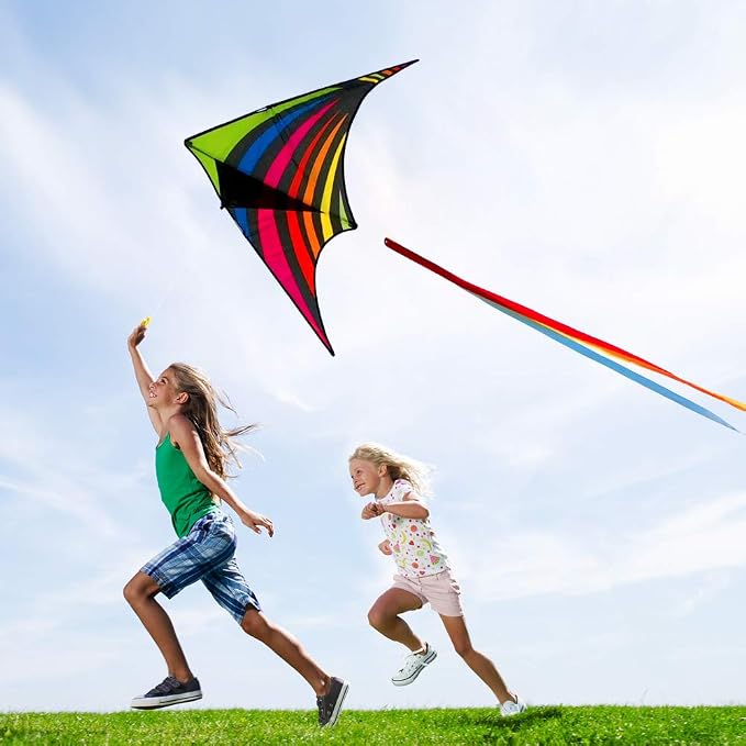 Mint's Colorful Life Delta Kite - Image 6