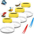 Bug Viewer for Kids 5X Magnifying Insect Observation Kit Built-in 7cm Ruler by RORANIC-DeliveringHappiness