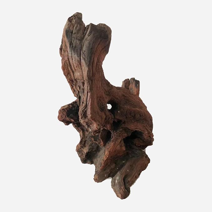 LYPHARD AQUARIUMS Natural Driftwood - Image 4