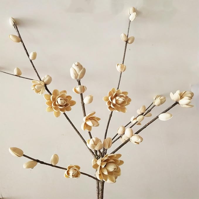 SEWACC Empty Pistachio Shells for DIY Crafts, Natural Handicraft Material for - Image 2