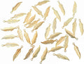 ALIMITOPIA 100pcs Alloy Feather Charms Pendants Easter Angel Wing Feather by ALIMITOPIA