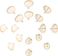 SUNNYCLUE 1 Box 16Pcs Seashell Charms Oval Ocean Beach Spiral Connectors by SUNNYCLUE