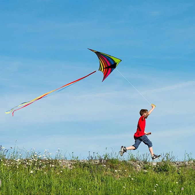 Mint's Colorful Life Delta Kite - Image 4