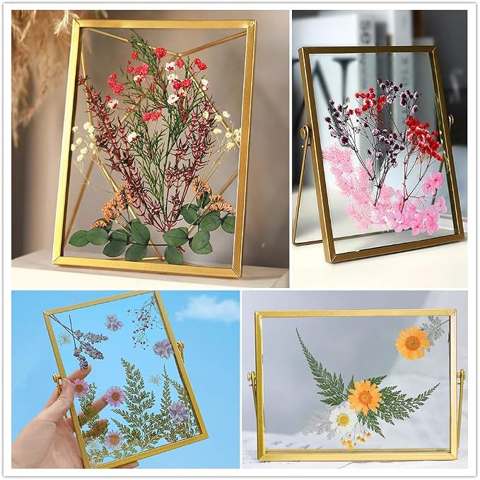 Vignee Real Dried Pressed Leaf Flowers-Multiple Colorful Pressed Flowers Daisies - Image 3