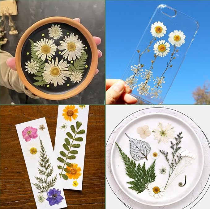 188 Pcs Dried Pressed Flowers for Resin Crafts, Real Natural Pressed Flowers - Image 6