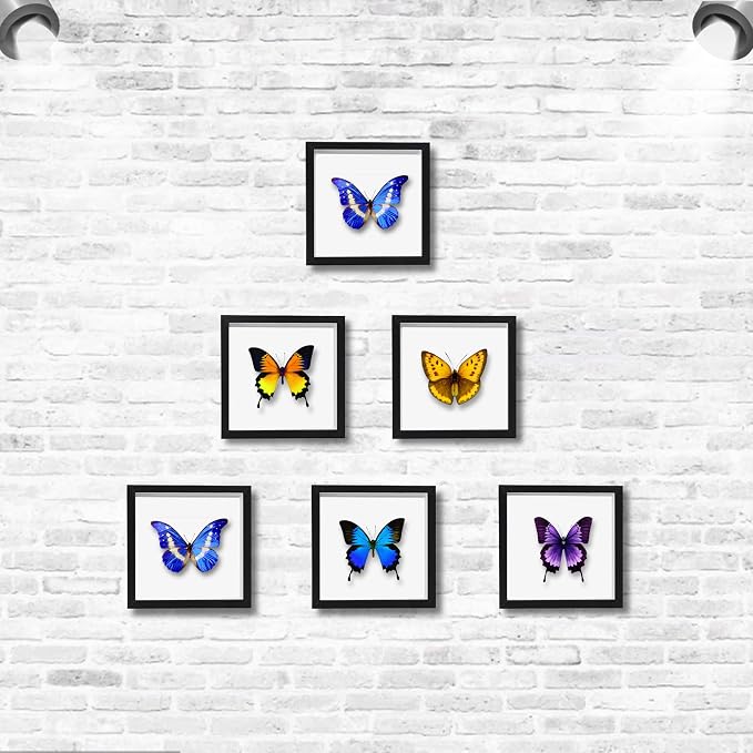 5x5 Small Shadow Box Frame Display Case, Display Case Box - Image 4