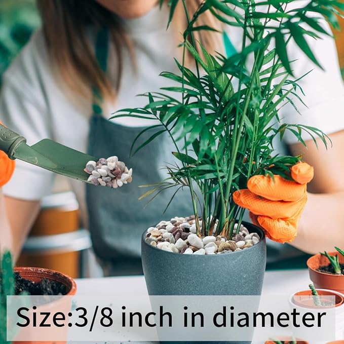 FANTIAN 5 lbs Pebbles for Plants, 3/8 Inch Tiny Pea Gravel. Decorative - Image 7