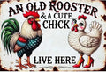 MjhRcll Chicken Stamped Cross Stitch Kits, Chicken Embroidery Starter Kit by MjhRcll