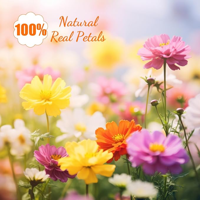 96 Pcs Natural Dried Pressed Flowers - Image 7