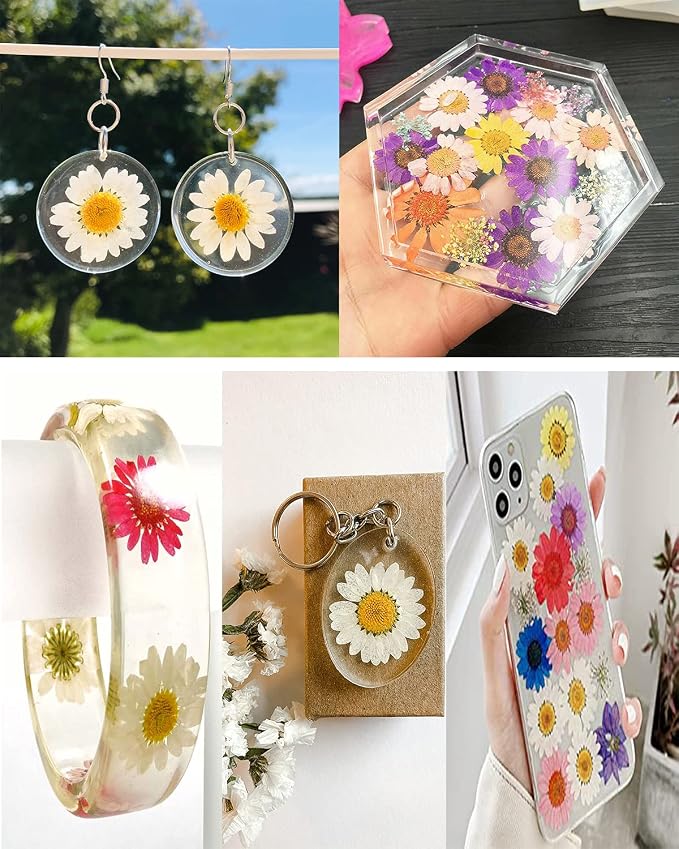 60Pcs White Dried Daisy Pressed Flowers - Image 6