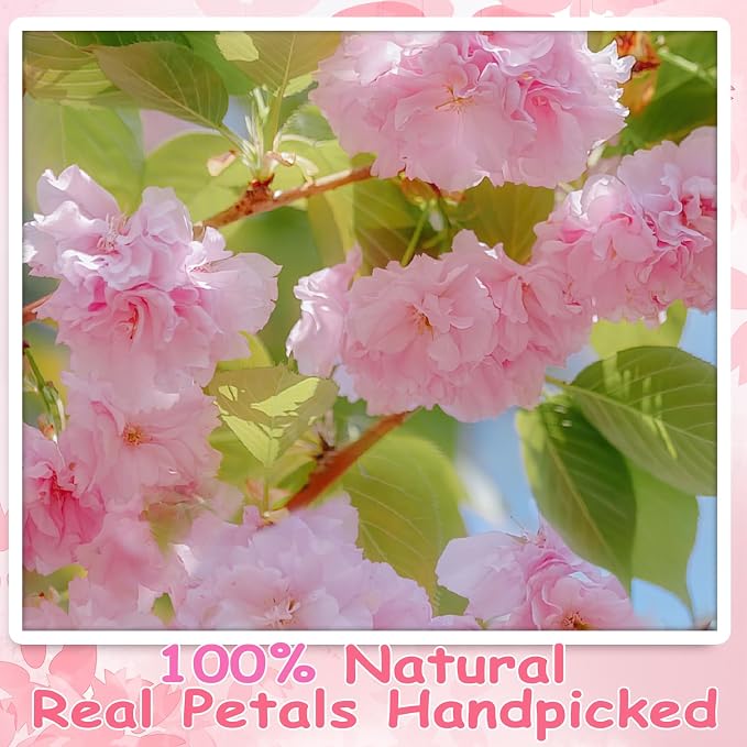 80Pcs Natural Dried Pressed Cherry Blossoms, Edible Flowers Sakura Mix - Image 4