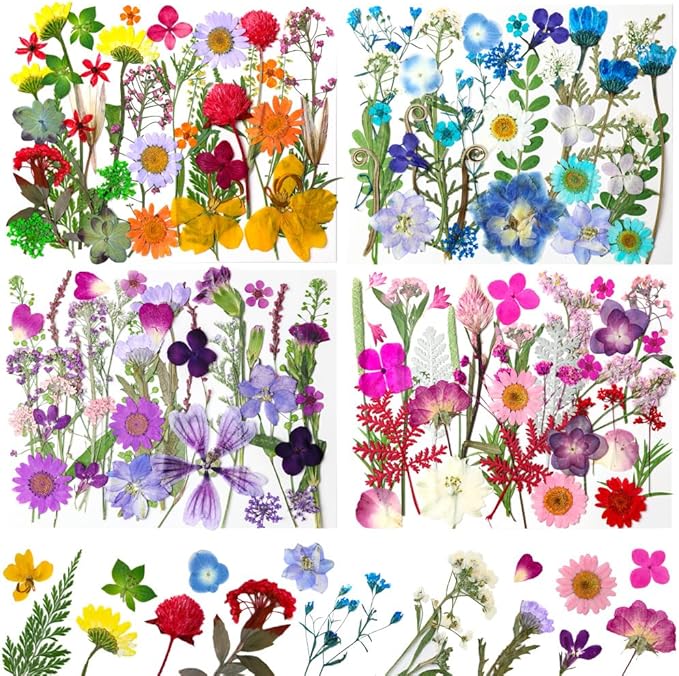 140Pcs Dried Pressed Flowers, Natural Dried Flowers Bulk by Buzidao