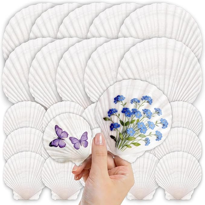 25PCS Large Scallop Shells for Crafts, Decorating, Ocean Themed Party Supplies by Unknown