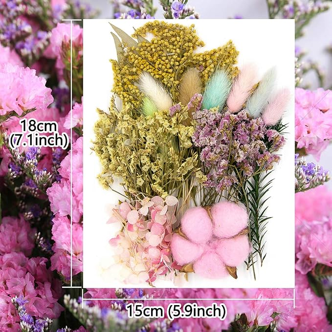 Vignee Real Dried Pressed Leaf Flowers-Multiple Colorful Pressed Flowers Daisies - Image 2