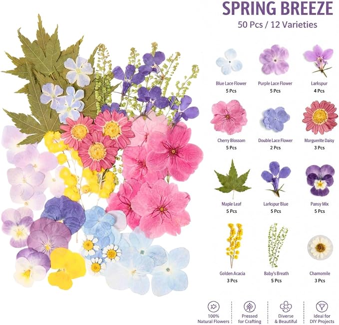 Real Dried Pressed Flowers for Crafts, Scrapbooking, Card Making, DIY - Image 2