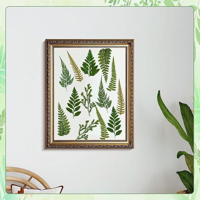 80 Pcs Green Ferns Dried Pressed Flowers Bulk - Image 4