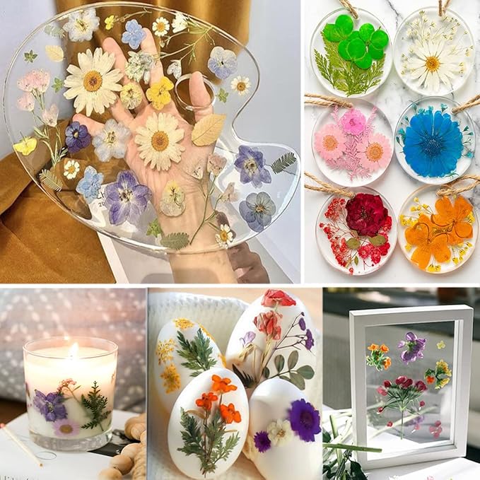 15 Types 37pcs Pink Dried Pressed Flowers - Image 4