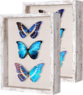 2 Packs 11x14 Shadow Box Frame by Califortree