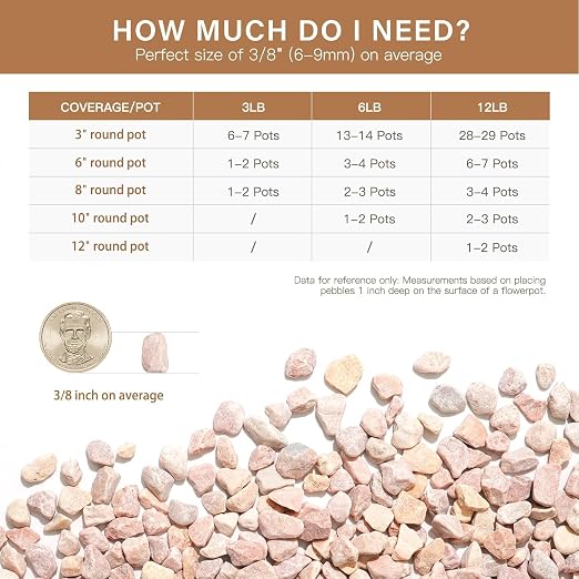 NUPICK 3 lbs Pebbles for Indoor Plants, 3/8 Inch Pea Gravel for Fish Tank - Image 6