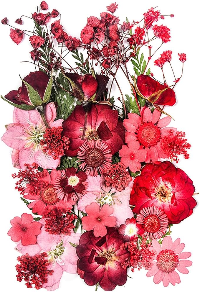 15 Types 37pcs Red Dried Pressed Flowers by YouthBro