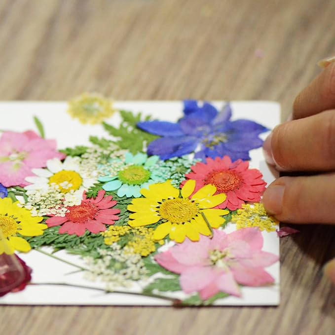 Woohome 160PCS Real Pressed Flowers, Dried Pressed Flowers Colorful Real - Image 3