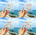 Acrylic Magnetic Seashell Display Box, Beach Shelling Collecting Tools by Unknown