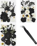 CCINEE 69Pcs Halloween Dried Pressed Flowers by CCINEE