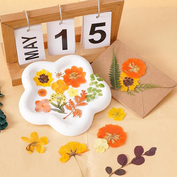 100 Pcs Fall Dried Pressed Flowers - Image 6