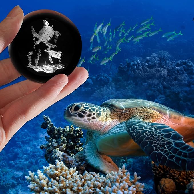 3D Sea Turtle Crystal Ball - Image 5