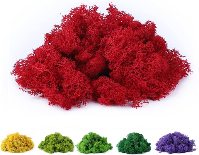 Fake Moss Preserved Reindeer Moss 3.5 OZ by DAZUINIAO