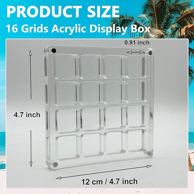 Acrylic Magnetic Seashell Display Box, Beach Shelling Collecting Tools - Image 3