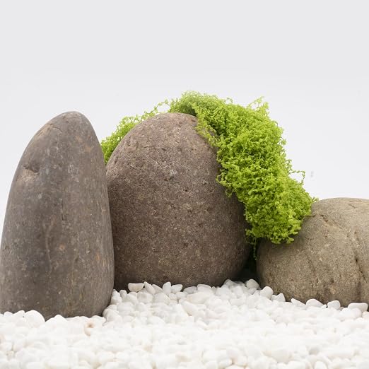 40 LBS Natural River Rocks – 3–4 Inch Decorative Stones - Image 5