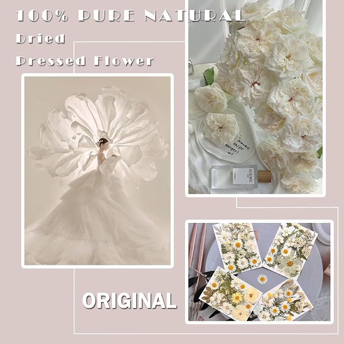 MIKIYA 90Pcs White Dried Pressed Flowers - Image 2