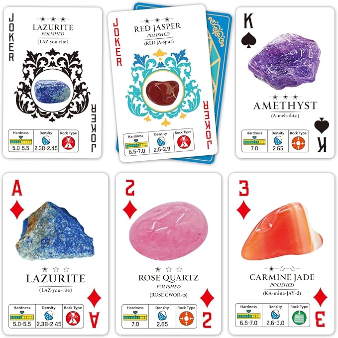 PIBEX Rock Collection Starter Kit - Image 6